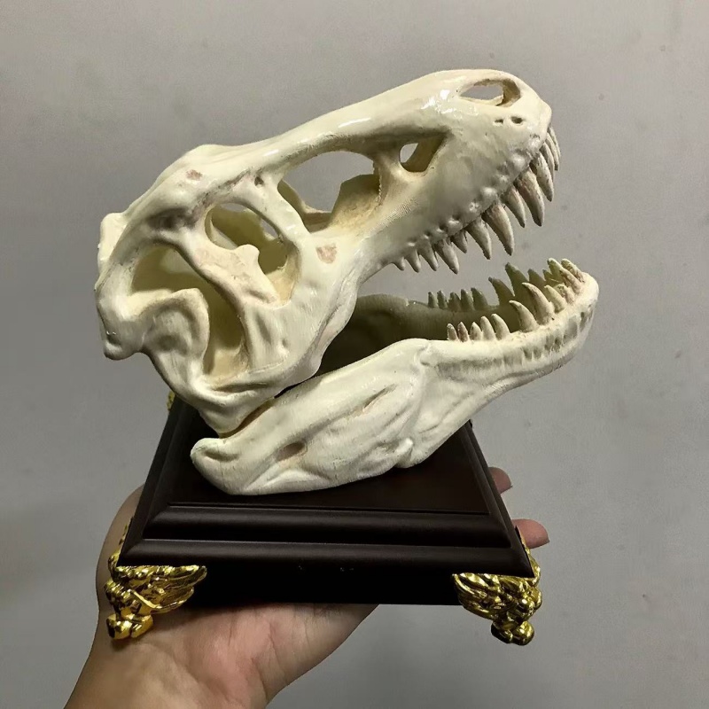 3D-печатная модель черепа тира – обзор и цена 3D Printing Enthusiast